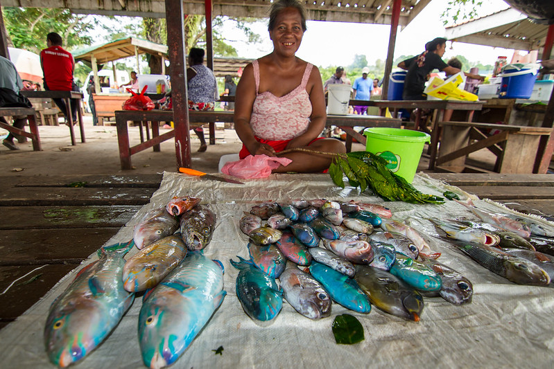 Fish market, Solomon Islands. Small-scale fisheries sustain millions but are largely missing from global ocean governance.