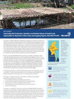 Improving the Production, Nutrition and Market Values of Small-Scale Aquaculture in Myanmar’s Shan State and Sagaing Region (INLAND MYSAP)