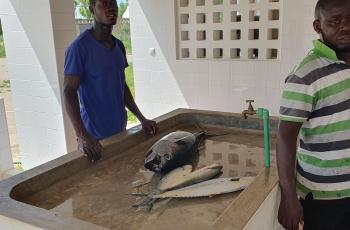 Designated sales area and sales tables at Chocas Mar