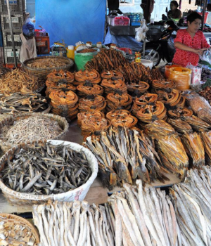 Improving the production, nutrition and market values of small-scale aquaculture in Myanmar's Shan State and Sagaing Region: (INLAND MYSAP)