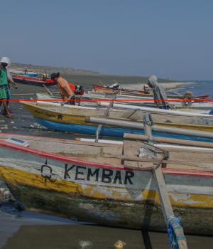 FFisheries Sector Support Program 2 (FSSP2)