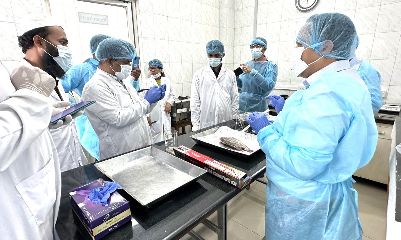 AMROH-SA consortium conducting a workshop on AMR data management in Animal, Aquaculture, and Environment in Bangladesh. Photo: Sabrina Hossain/WorldFish