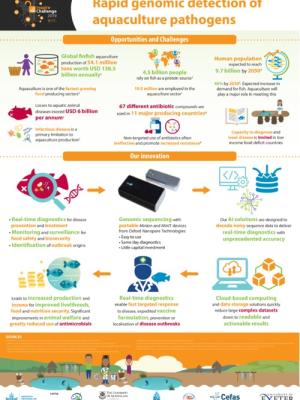 Rapid genomic detection of aquaculture pathogens