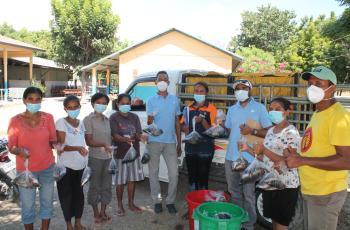 distributing tilapia