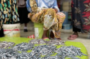 Asia-Africa BlueTech Superhighway (AABS) Theory of change WP1 in Zanzibar. Photo by Jerome and Alina, WorldFish.