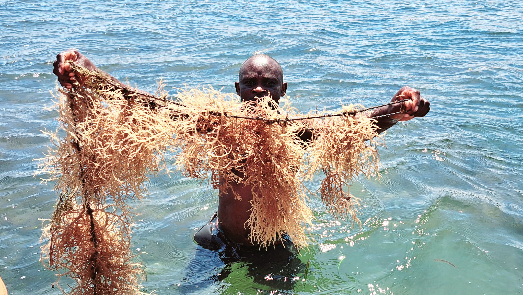 Photo by ErinKhoo, via Flickr (CC BY-NC-ND 2.0)