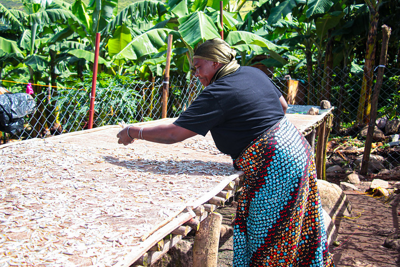 Scaling Innovation on Lake Victoria 