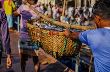 Two baskets filled with freshly caught Indian Salmon fish being carried to a fish market in Cox’s Bazar, Bangladesh, where they will be sold for local and international distribution. Photo by Philipo Ngonyani.