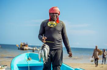 This group of photos captures the fish processing journey from the moment the fish is landed from the sea to its final distribution. Photo by WorldFish.