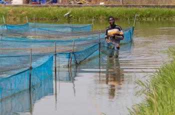 Visit to Premium Aquaculture Limited Ogun State (Tilapia hatchery, farm and processing). Photo by WorldFish.