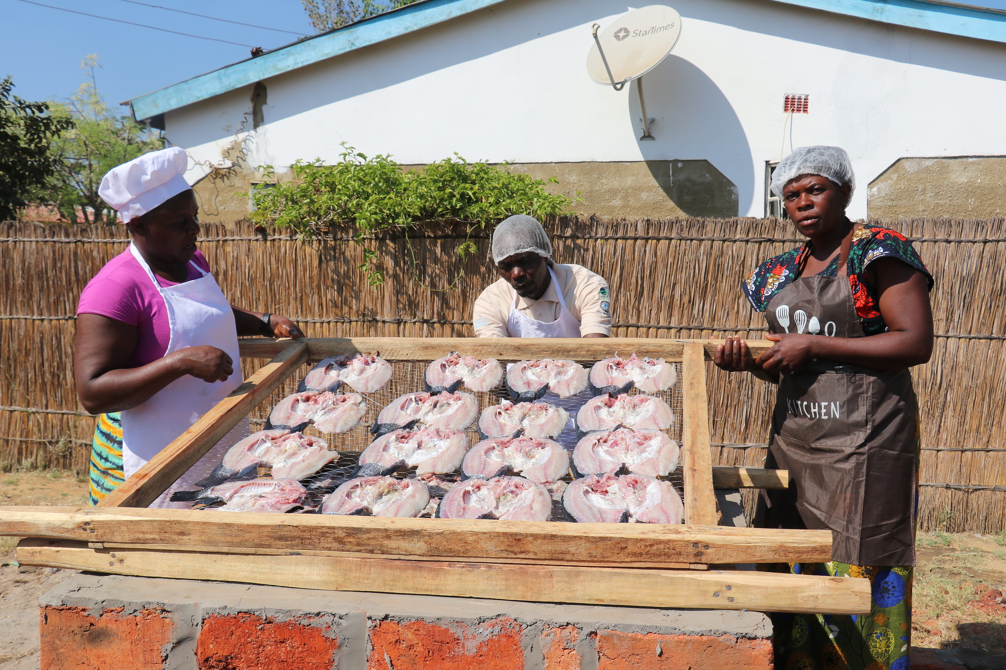 Scaling Climate-Smart Aquaculture in Zambia  
