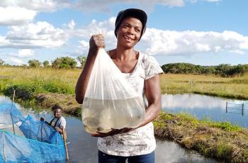 WF_Africa Food Systems Forum. Photo by WorldFish.