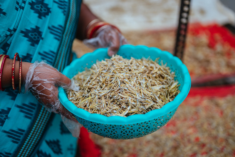 Premalata showing freshly dried fish from the solar dryer.