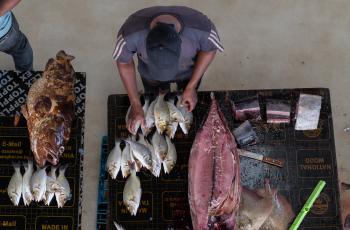 Visit to fish market in Zanzibar, Tanzania. Photo by Philipo Ngonyani.