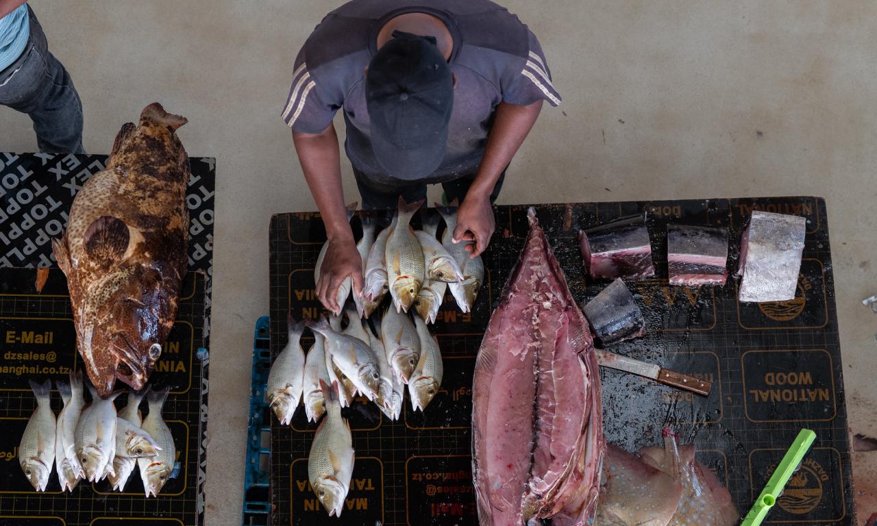 Visit to fish market in Zanzibar, Tanzania. Photo by Philipo Ngonyani.