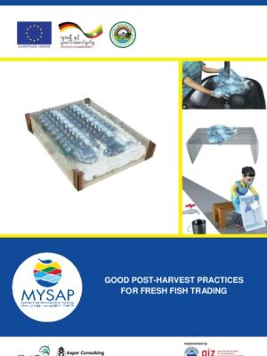 Good post-harvest practices for fresh fish trading: Facilitator guide