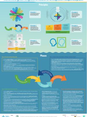 Intersectional gender integration in research for development: Principles and phases