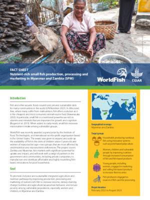 Nutrient-rich small fish production, processing and marketing in Myanmar and Zambia (SPM)