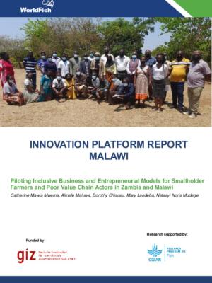Innovation Platform Report Malawi: Piloting Inclusive Business and Entrepreneurial Models for Smallholder Farmers and Poor Value Chain Actors in Zambia and Malawi.