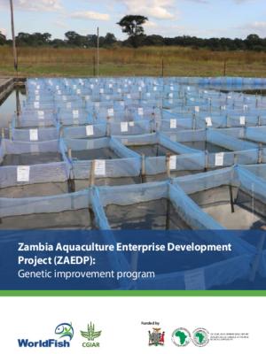 Zambia Aquaculture Enterprise Development Project (ZAEDP): Genetic improvement program