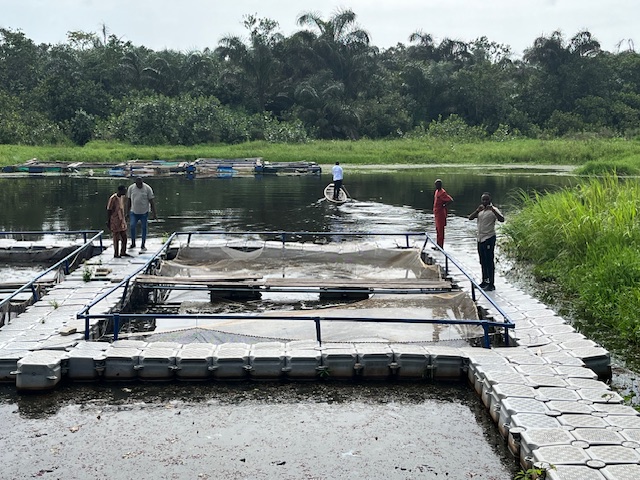 AABS team examines a cage culture on Igbokoda Jetty in Ondo State, Nigeria. Photo credit: Eunice Ayo-Aderele