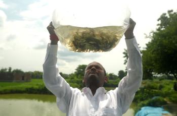 Ambarish Patel proudly holds a bag of fingerlings, symbolizing Nepal’s growing aquaculture potential. Photo: Sagar Saru, Tribhuvan University.