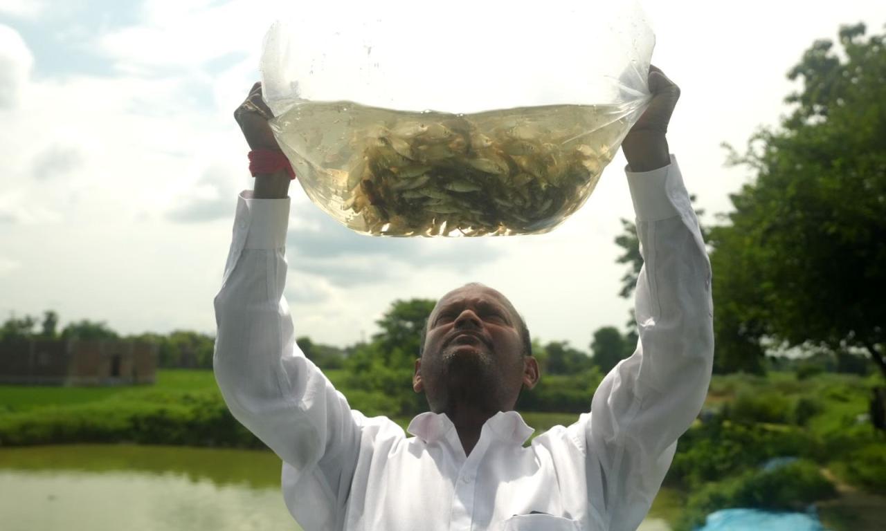 Ambarish Patel proudly holds a bag of fingerlings, symbolizing Nepal’s growing aquaculture potential. Photo: Sagar Saru, Tribhuvan University.