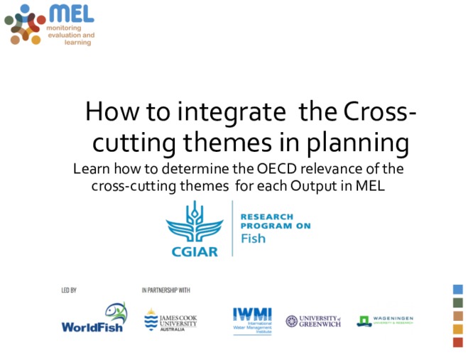 Guideline on how to integrate  the  Cross-cutting themes in planning through MEL