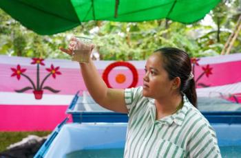 Aquaculture and Fisheries Researcher at IIRR, Cambodia observing the hatchery produced SIS. Photo by Harun Or Rashid, WorldFish