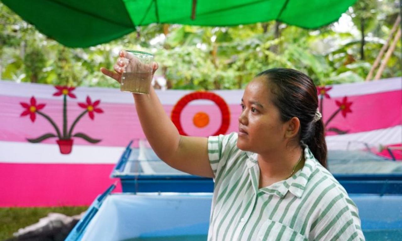 Aquaculture and Fisheries Researcher at IIRR, Cambodia observing the hatchery produced SIS. Photo by Harun Or Rashid, WorldFish
