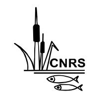 Center for Natural Resource Studies