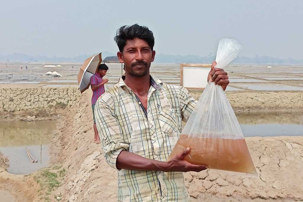 Transforming Salt Farms in Cox’s Bazar  