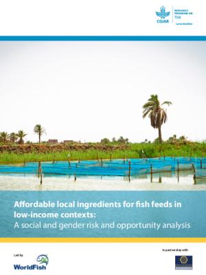 Affordable local ingredients for fish feeds in low-income contexts: A social and gender risk and opportunity analysis