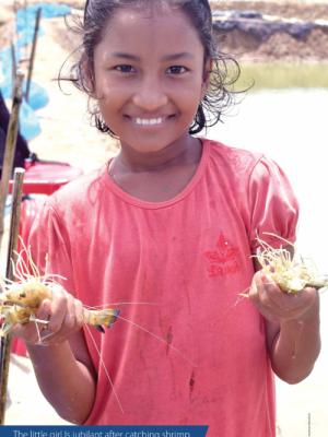 Pop Up Banner Artemia4Bangladesh Project 05