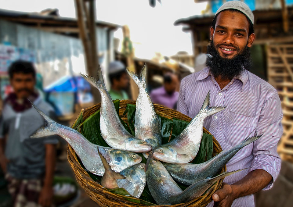 Saving Bangladesh’s Most Iconic Fish