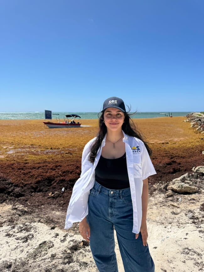 A woman standing on a seaweed covered beach.