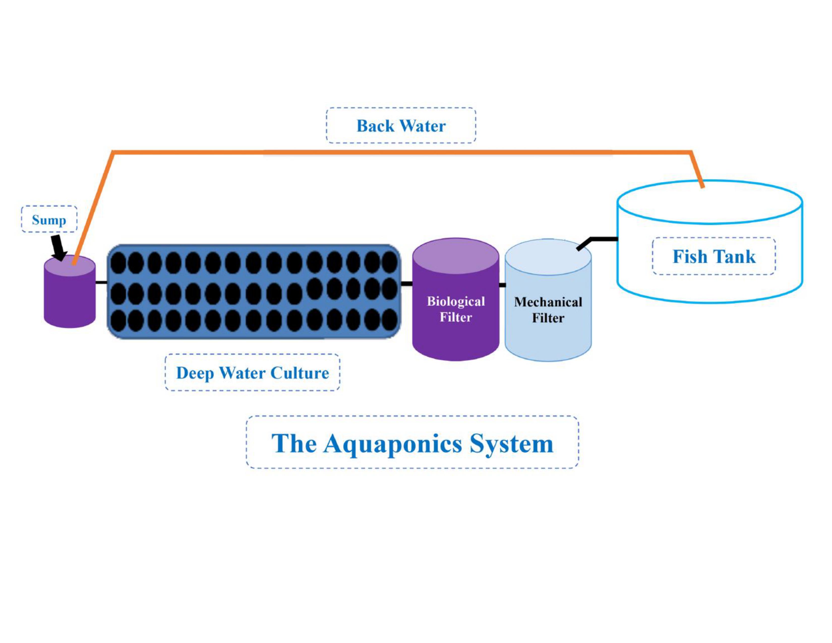 Illustration of a horizontal cross-section of the solar powered aquaponics greenhouse. Photo by: WorldFish – Egypt.