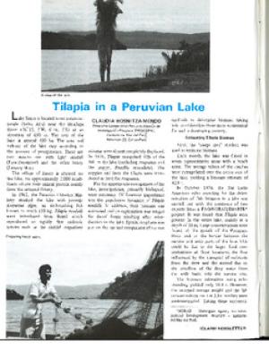 Tilapia in a Peruvian lake
