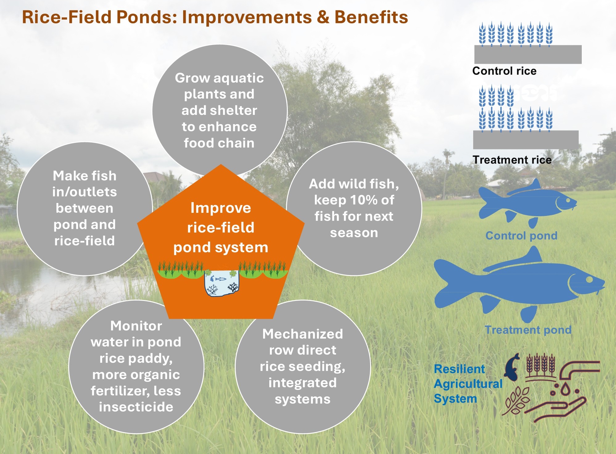 The advantages from ricefield pond improvements