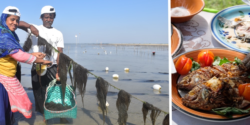 Emerging innovations