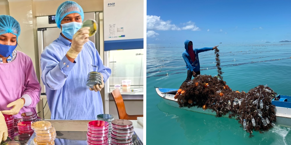 Emerging innovations