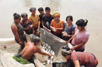 A women-led fish harvesting group in Rowangchhari, Bandarban. Photo: WorldFish, Bangladesh