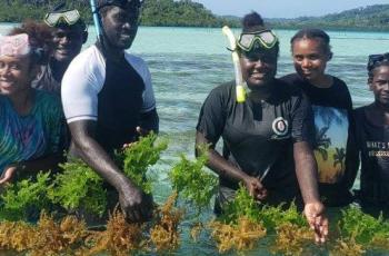 seaweed farming interns,  Nusatupe Research Station in the Western Province, solomon islands
