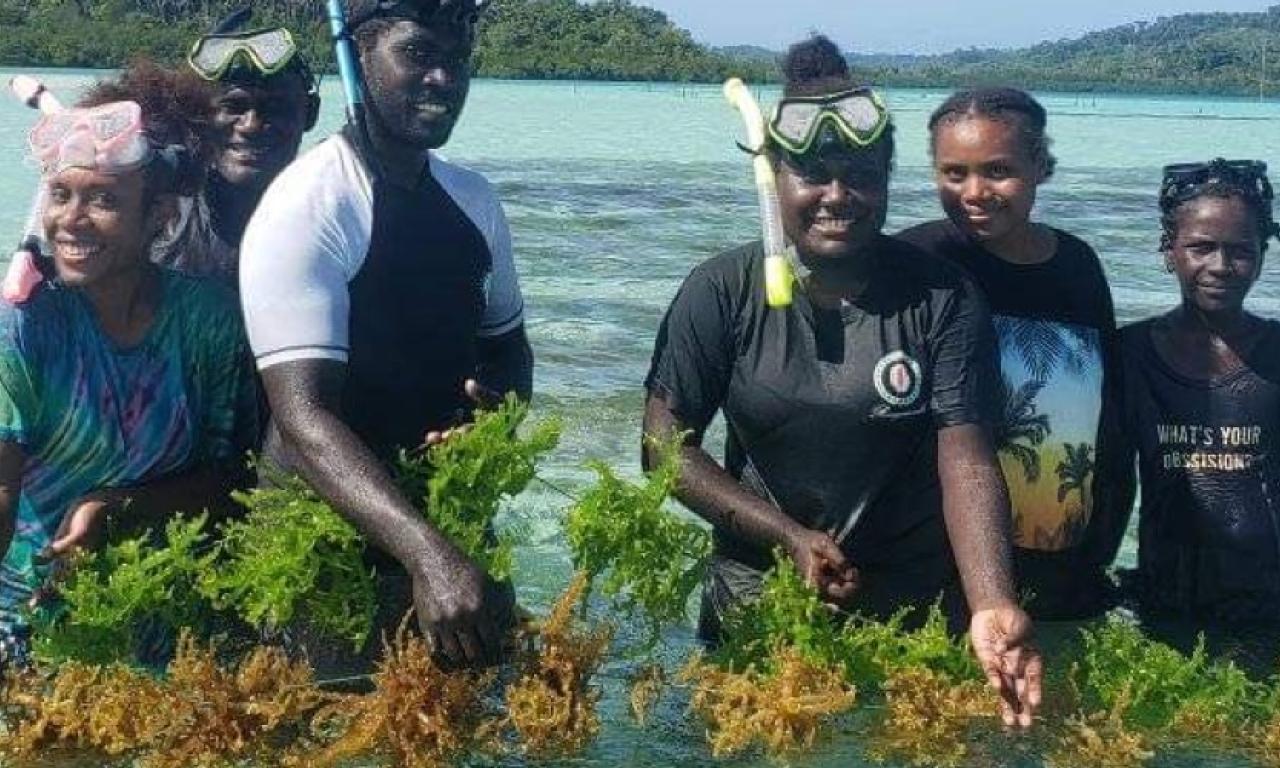 seaweed farming interns,  Nusatupe Research Station in the Western Province, solomon islands