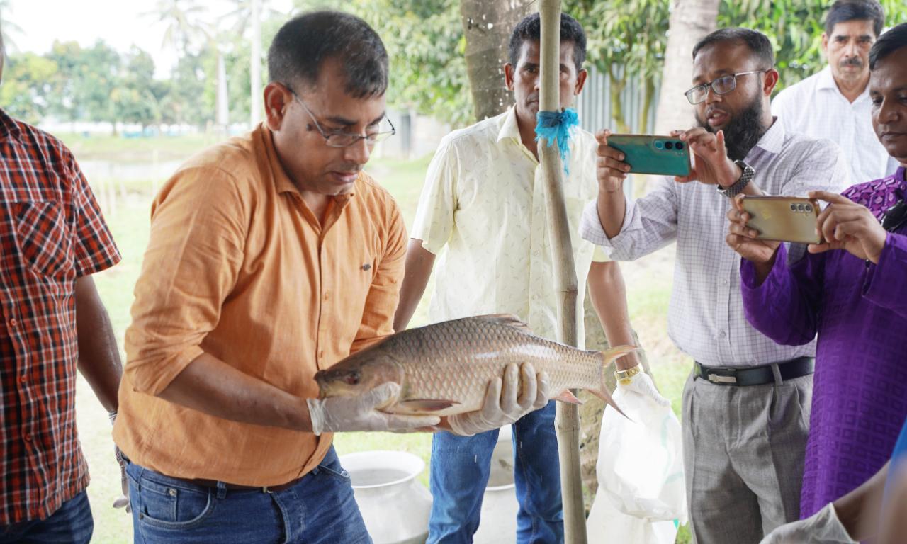 Photo 1- Participants observing carp breeding activities at the WorldFish facility in Jashore, Bangladesh. Photo credit - Mohammad Shohorab Hossain/WorldFish