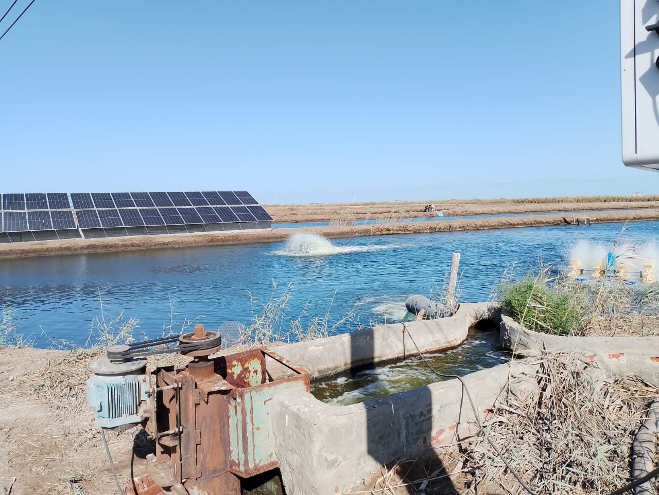 The established solar-powered station at a marine farm in Damietta, funded by the Royal Norwegian Embassy in Cairo under Center for Renewable Energy in Aquaculture (CeREA) project. Photo by WorldFish, Egypt.
