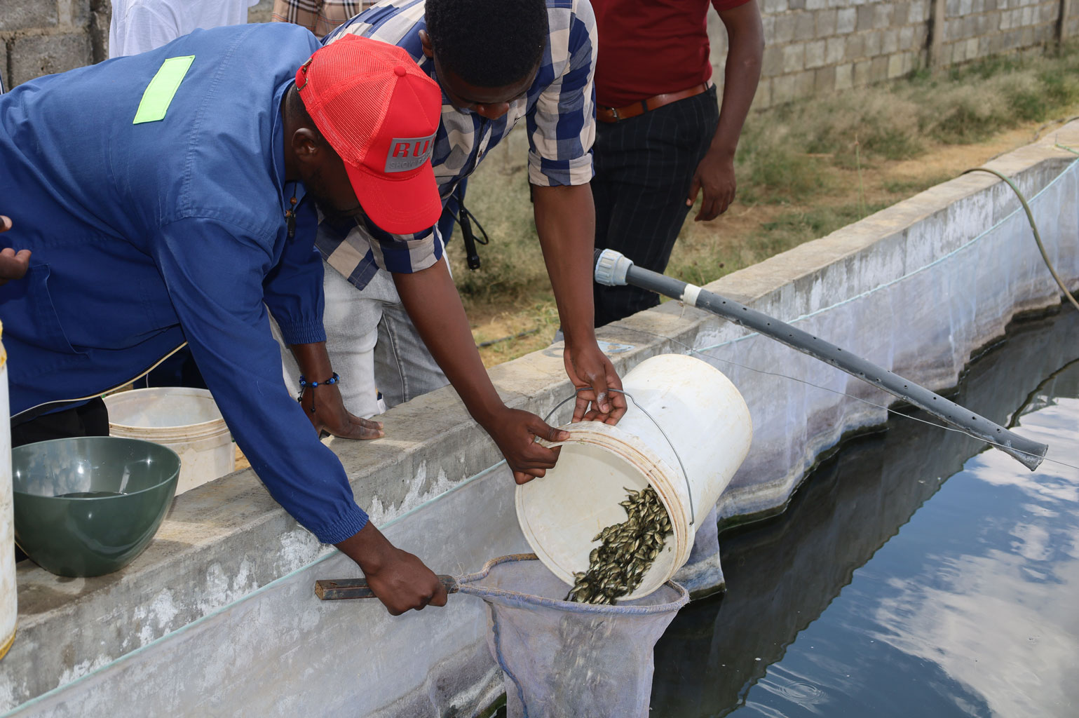 zambia tilapia seed production workshop